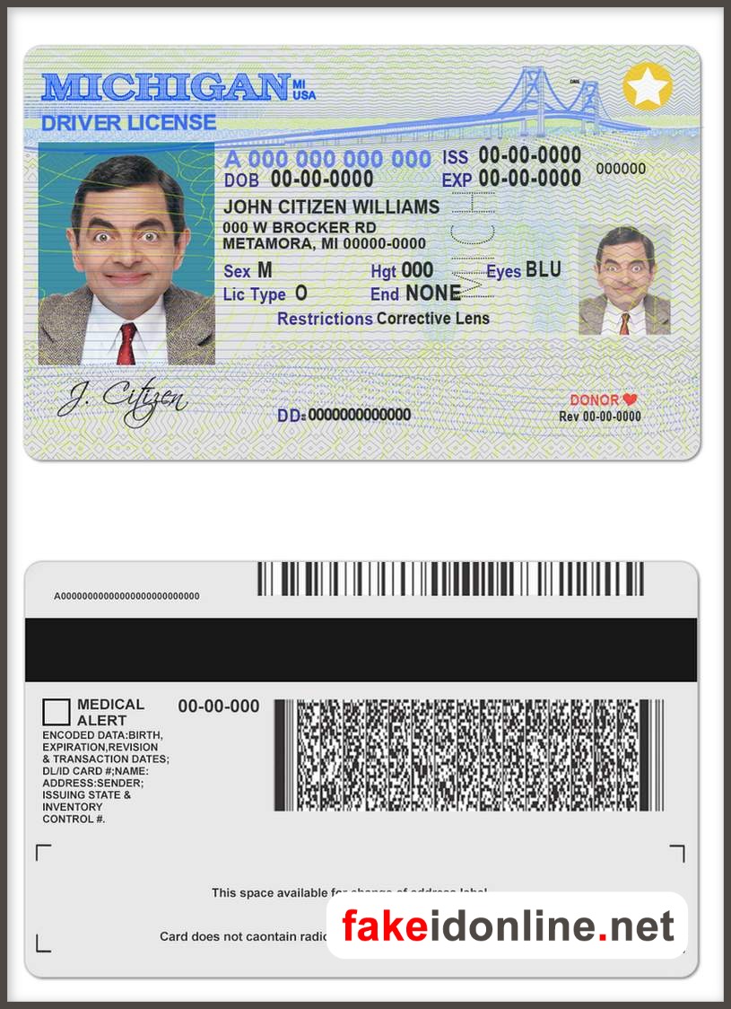 Michigan Driver License Template